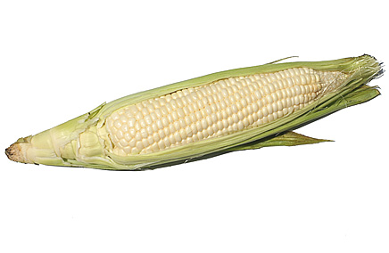 Corn Hub - Home